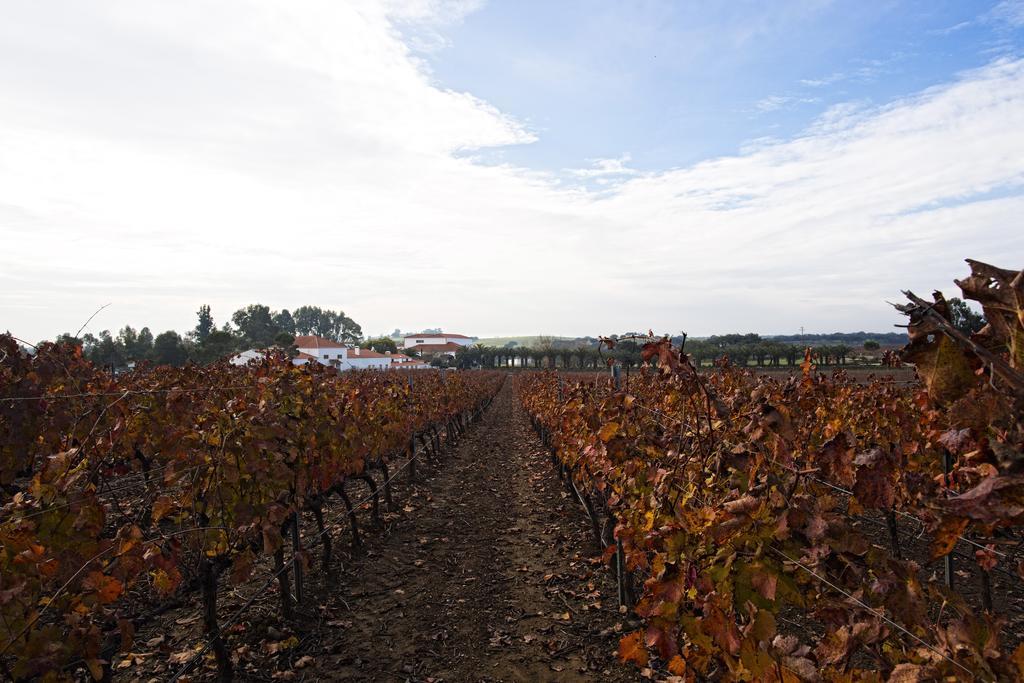 Herdade Da Calada Azaruja Eksteriør billede